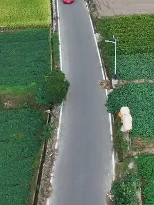 Ejderha Sarayı'na Açılan Kuyu afişi
