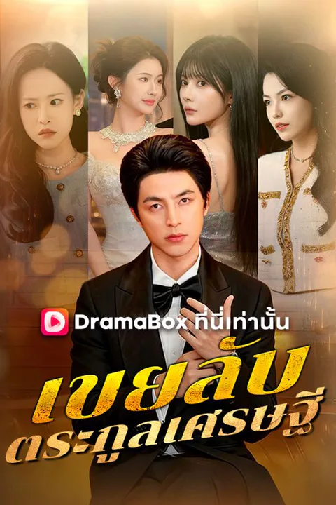 โปสเตอร์ เขยลับตระกูลเศรษฐี (พากย์เสียง)