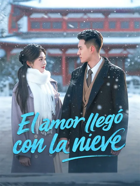 Póster de El amor llegó con la nieve (Doblado)