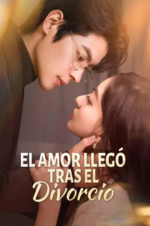 Póster de El amor llegó tras el divorcio