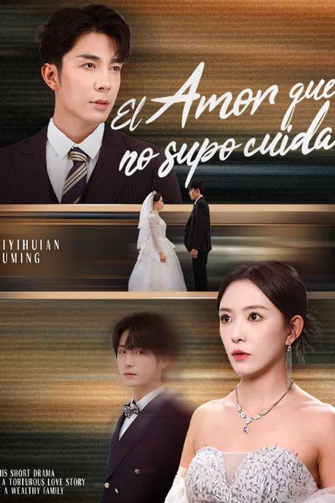 Póster de El Amor que no supo cuidar