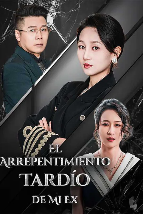 Póster de El Arrepentimiento Tardío de Mi Ex