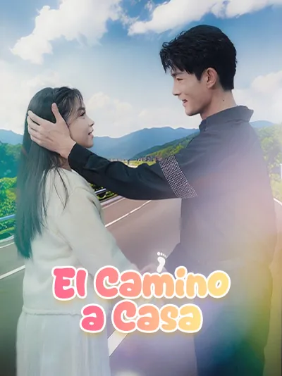 Póster de El Camino a Casa