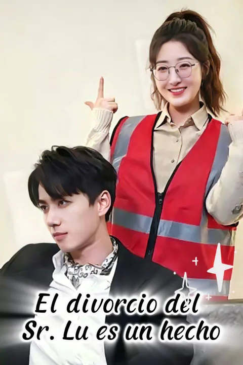 Póster de El divorcio del Sr. Lu es un hecho