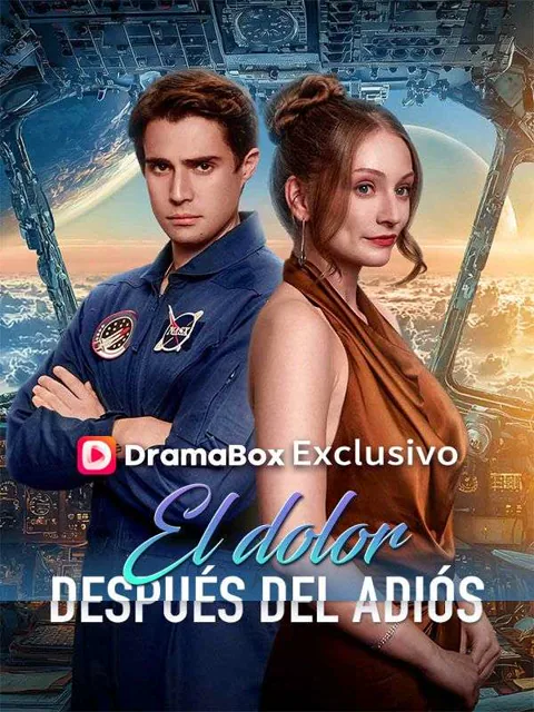 Póster de El dolor después del adiós