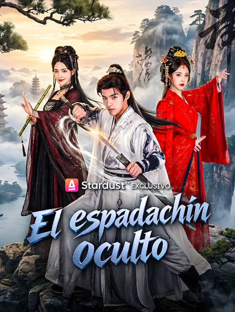 Póster de El espadachín oculto