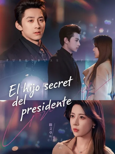 Póster de El hijo secreto del presidente