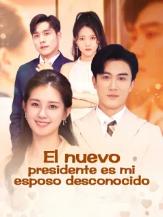 Póster de El nuevo presidente es mi esposo desconocido