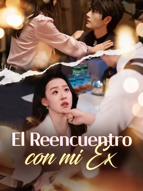 Póster de El Reencuentro con mi Ex