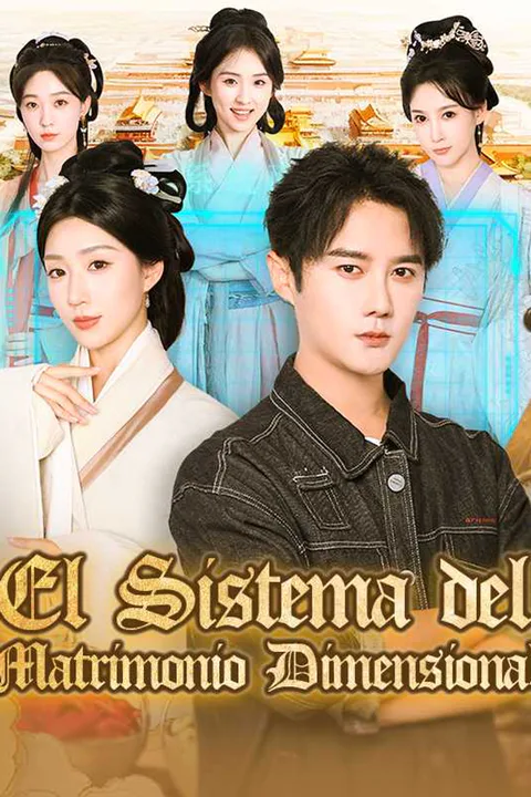Póster de El Sistema del Matrimonio Dimensional