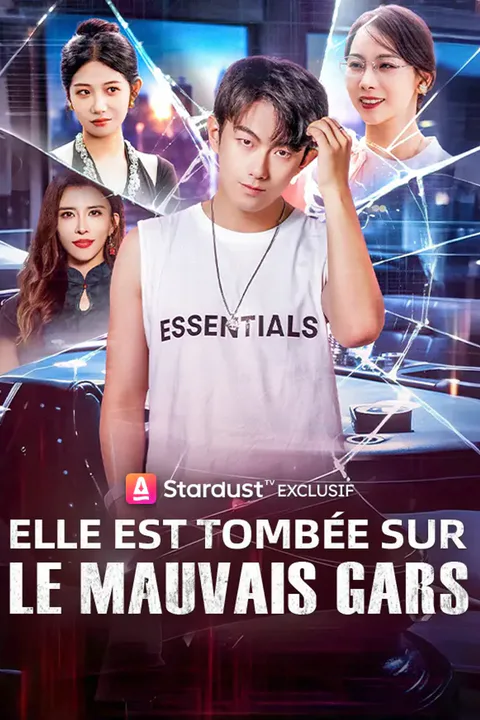 Affiche d’Elle est Tombée sur le Mauvais Gars