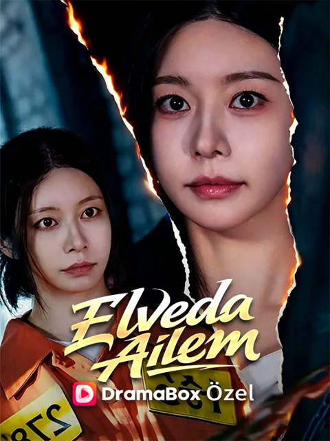 Elveda Ailem afişi