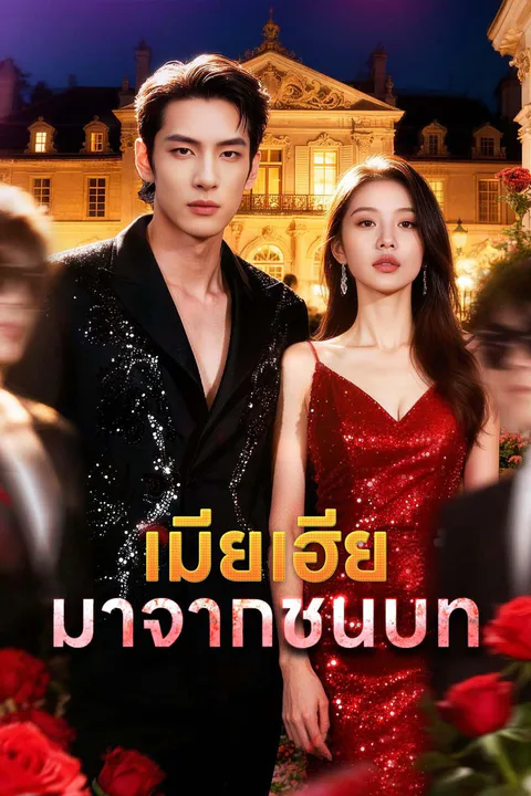 โปสเตอร์ เมียเฮียมาจากชนบท