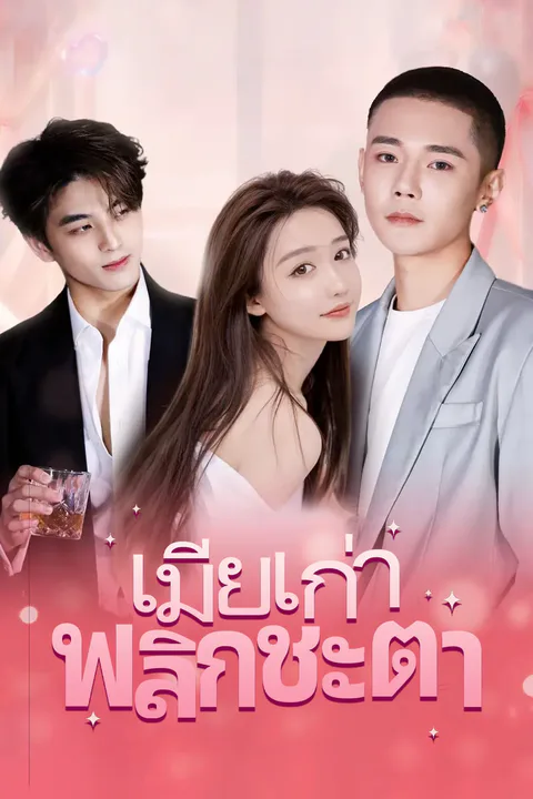 โปสเตอร์ เมียเก่า พลิกชะตา