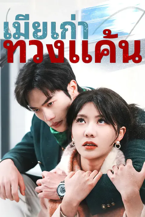 โปสเตอร์ เมียเก่าทวงแค้น