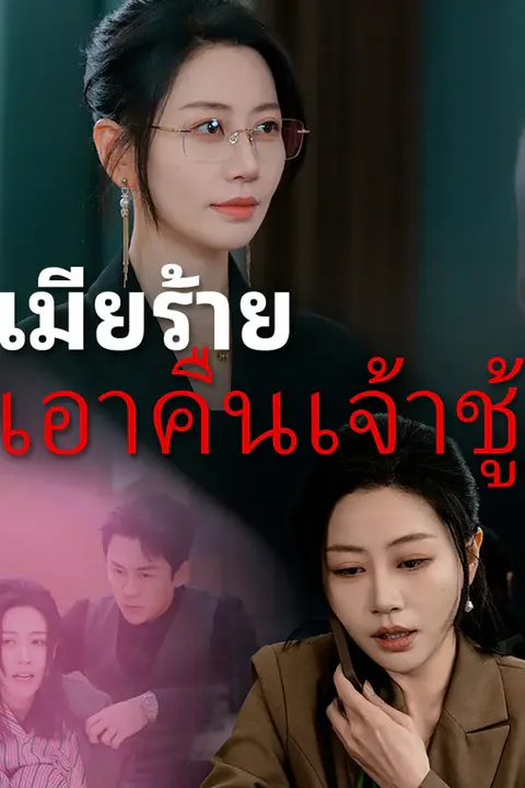โปสเตอร์ เมียร้ายเอาคืนเจ้าชู้