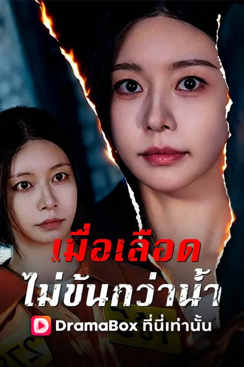 โปสเตอร์ เมื่อเลือดไม่ข้นกว่าน้ำ