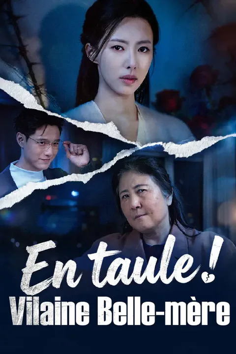Affiche d’En taule ! Vilaine Belle-mère