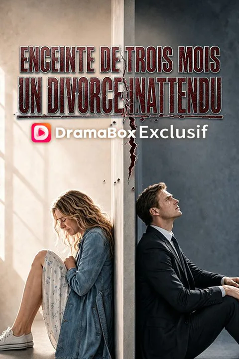 Affiche d’Enceinte de Trois Mois, un Divorce Inattendu