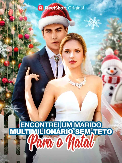 Pôster de Encontrei um Marido Multimilionário Sem-teto para o Natal