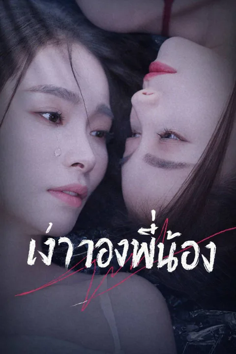 โปสเตอร์ เงาของพี่น้อง