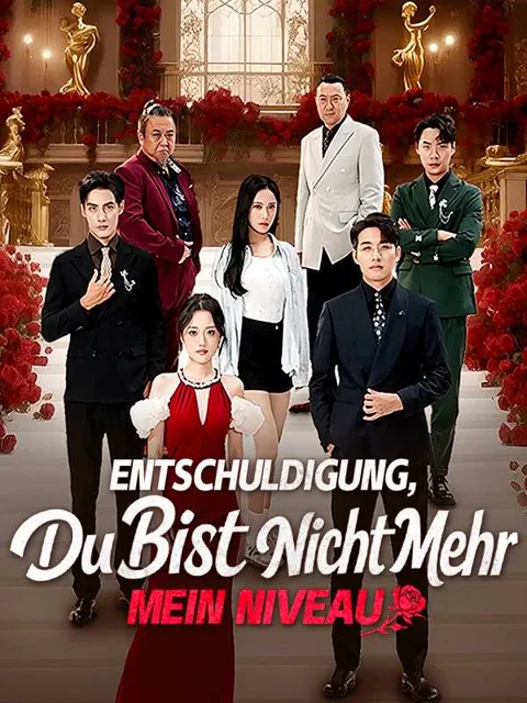 Poster von Entschuldigung, du bist nicht mehr mein Niveau