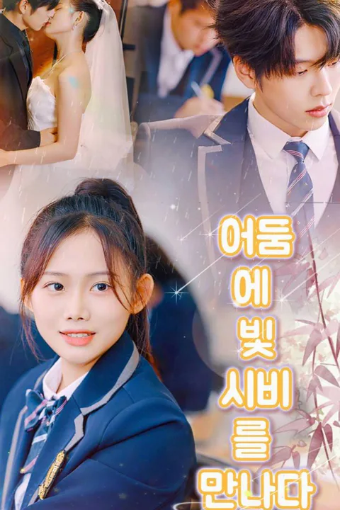 어둠 속 빛이 비치며, 시 같은 비를 만나다 포스터
