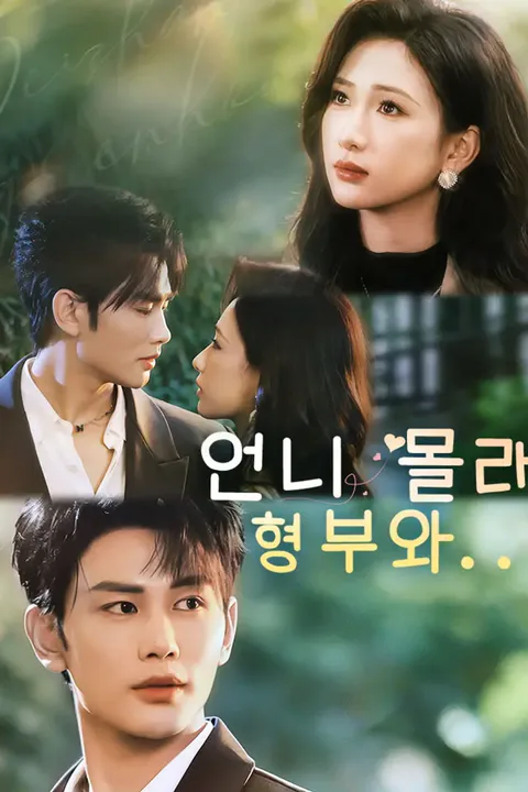 언니 몰래 형부와… 포스터