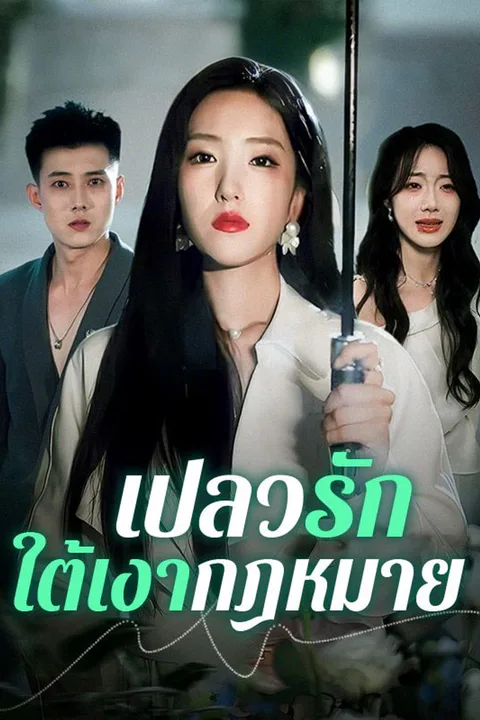 โปสเตอร์ เปลวรักใต้เงากฎหมาย