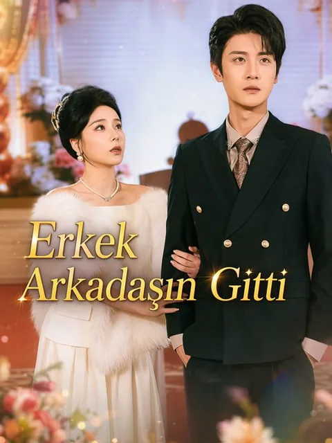 Erkek Arkadaşın Gitti afişi