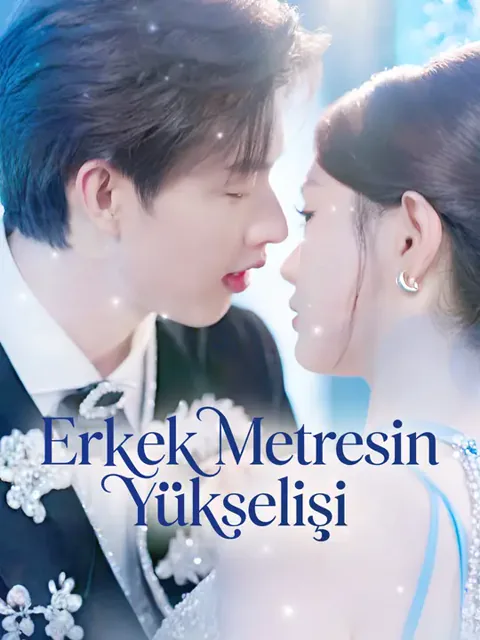 Erkek Metresin Yükselişi afişi