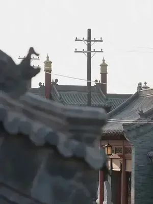 Eşini diriltmek için komutan afişi