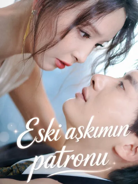 Eski aşkımın patronu afişi
