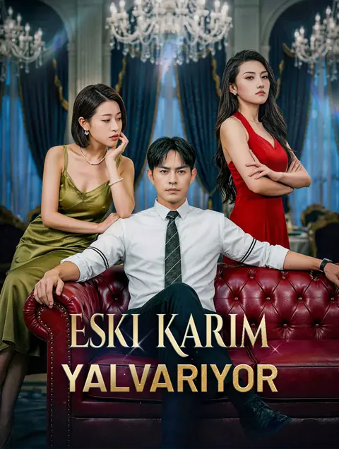 Eski Karım Yalvarıyor afişi