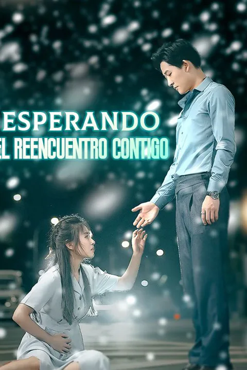 Póster de Esperando el reencuentro contigo