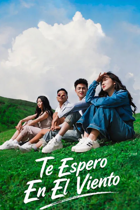 Pôster de Espero-te ao Vento