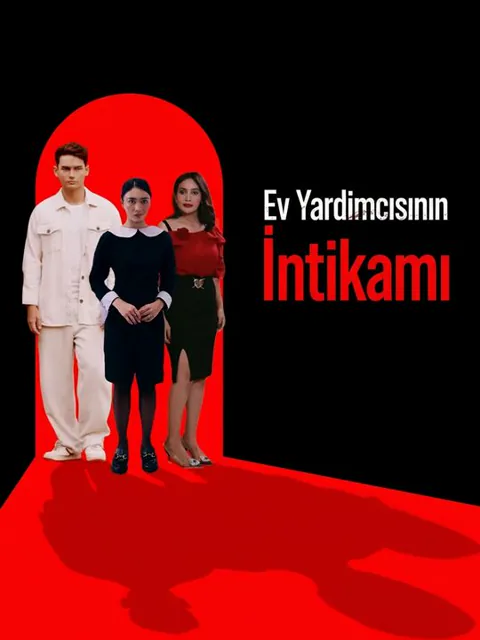 Ev Yardımcısının İntikamı afişi