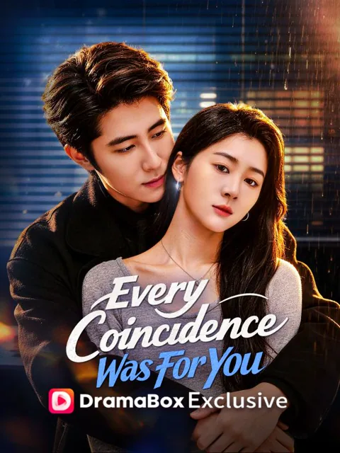 Every Coincidence Was For You poster