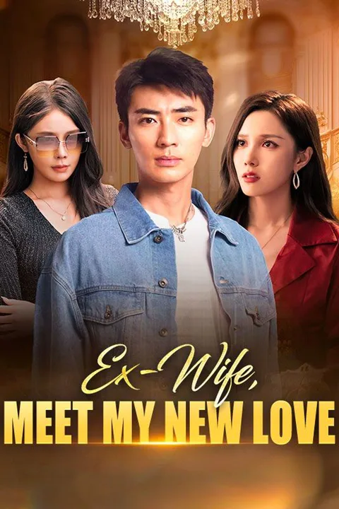 Ex-Wife, Meet My New Love poster