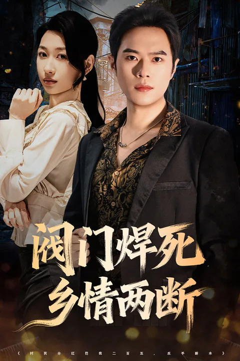《阀门焊死，乡情两断》海报