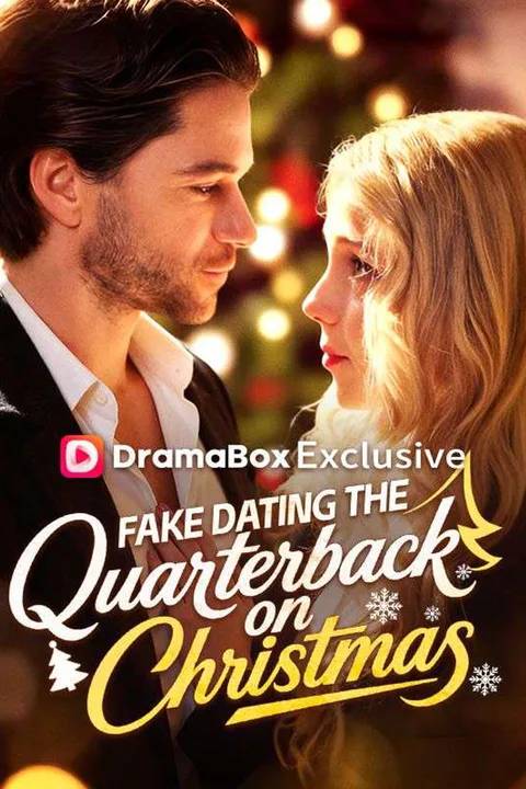 Fake Dating The Quarterback on Christmas poster