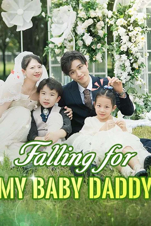 Falling for My Baby Daddy poster