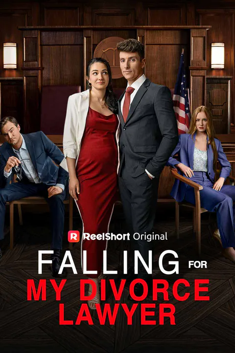 Falling for My Divorce Lawyer poster