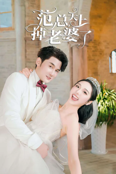 《范总天上掉老婆》海报
