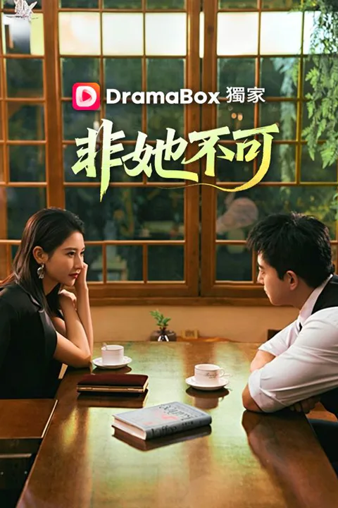 《非她不可》海報