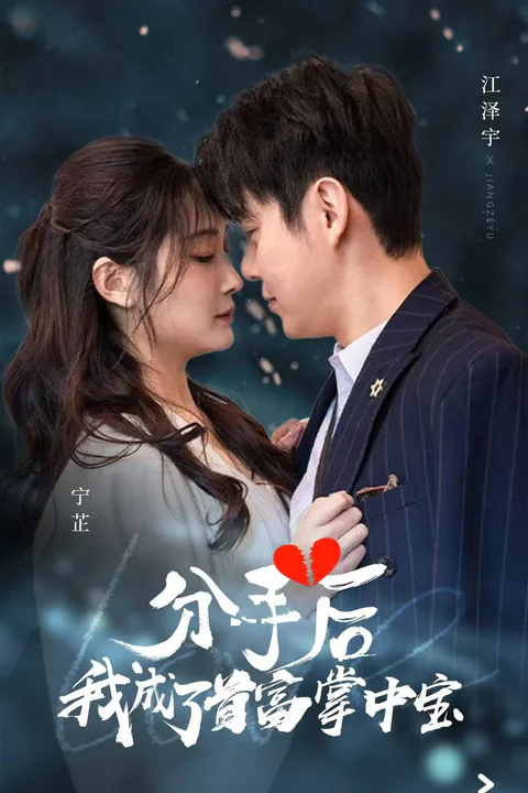 《分手后我成了首富的掌中宝》海报