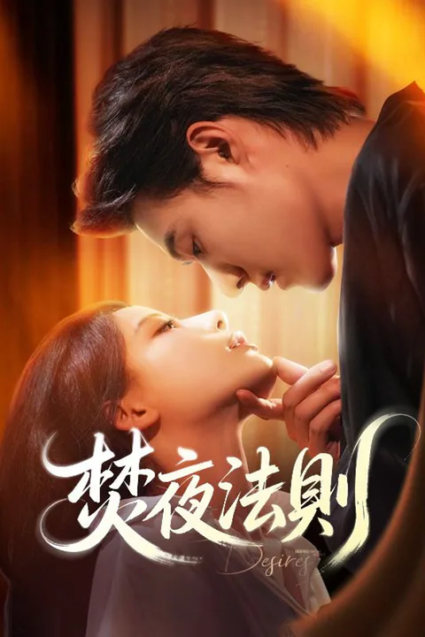 《焚夜法則》海報