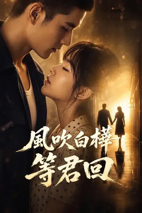 《風吹白樺等君回》海報