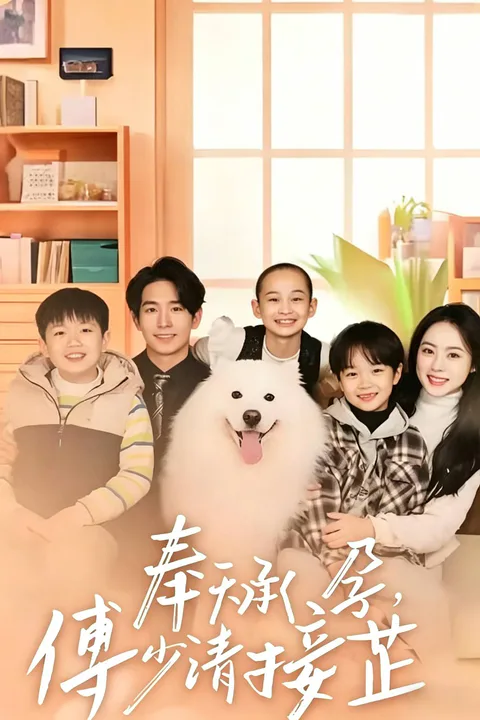 《奉天成孕，傅少请接芷》海报