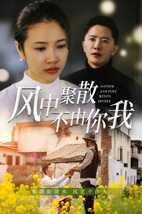 《风中聚散不由你我》海报
